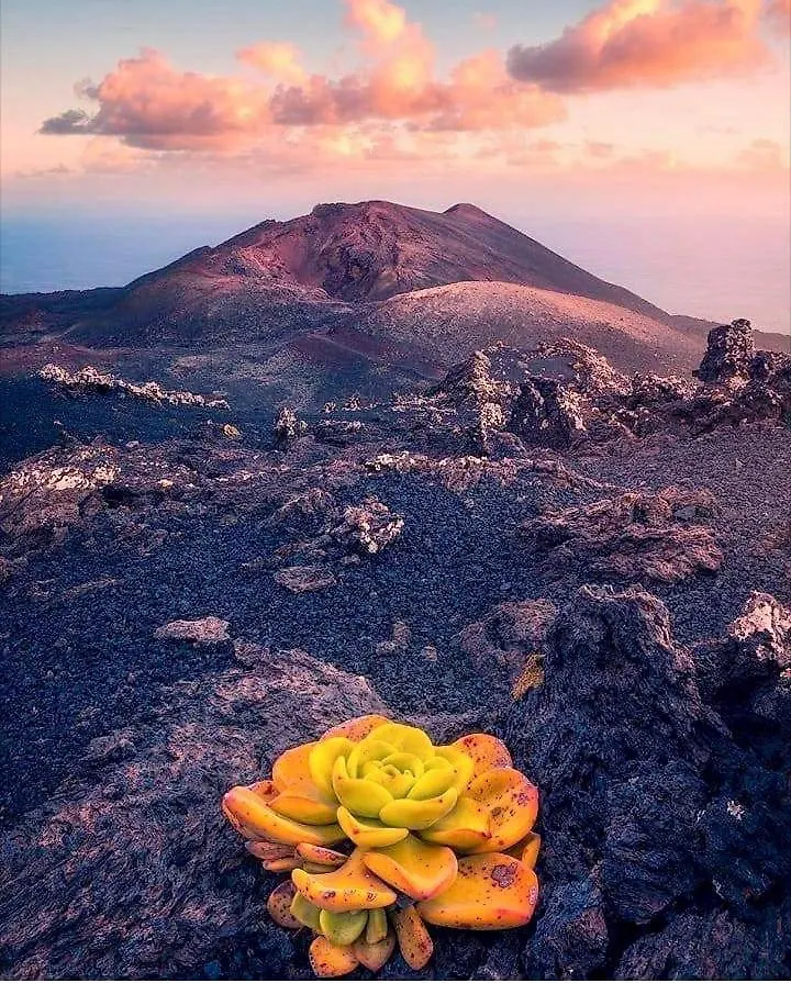 Willa Casita La Rosa El Paso 0*,  Hiszpania